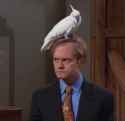 niles with a bird on his head