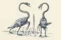 paleo swans