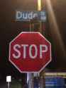 DUDEjustSTOP