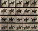 Eadweard-Muybridge-method-camera