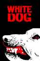 white dog
