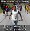 Diversity