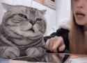 cat listening to woman talking