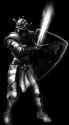 d2paladin5