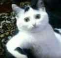 kitworried