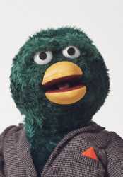 duck