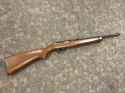 Ruger 10:22