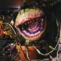 audrey2