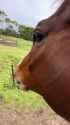 images (1)