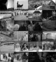The-Stone-Wedding.mkv~3