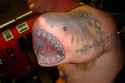 shark