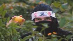 Cobra vs. Ninja (1987) [DVDRip.x264-BillBrasky].mkv_20250607_013812.266