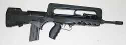 f1famas29