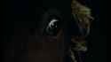 Lancelot.of.the.Lake.1974.1080p.BluRay.FLAC.x264-HANDJOB.mkv_snapshot_00.07.44.671