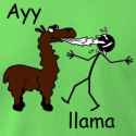 ayyllama