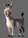 Donkey
