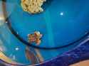 IMG_20250706_153513182