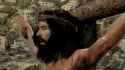 green-screen-crucifixion