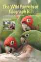 WildParrots