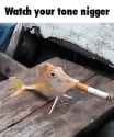 watch your tone