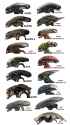 Xenomorphs