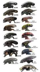 Xenomorphs