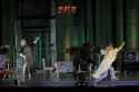 Siegfried-Paris-Mime-ours