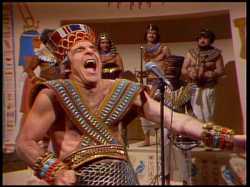 kingtut