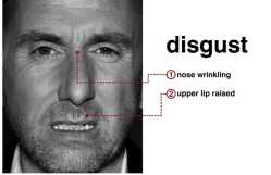 disgust