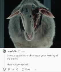 224 KB