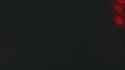 3.95 MB
