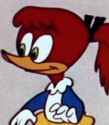 11 KB