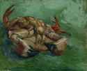 Vincent van Gogh - Crab on its Back .jpg