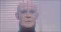 Pinhead.jpg