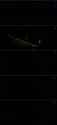 1.69 MB