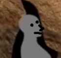 29 KB
