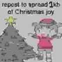 17 KB