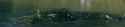 1.1 MB