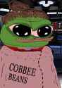 266 KB