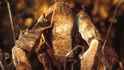 92 KB