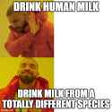 54 KB