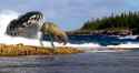99 KB