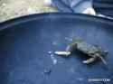 163 KB