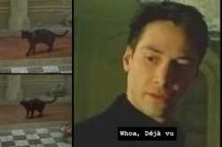 96 KB