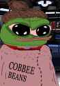 263 KB