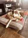 3.56 MB