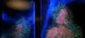 21 KB