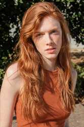 2.88 MB