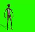 277 KB