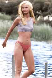 81 KB